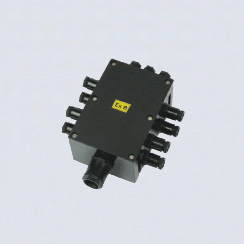 BJX8050系列防爆防腐接線箱(II C、 ExtD)